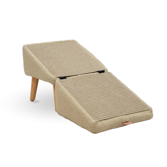 Pet Ramp🐕